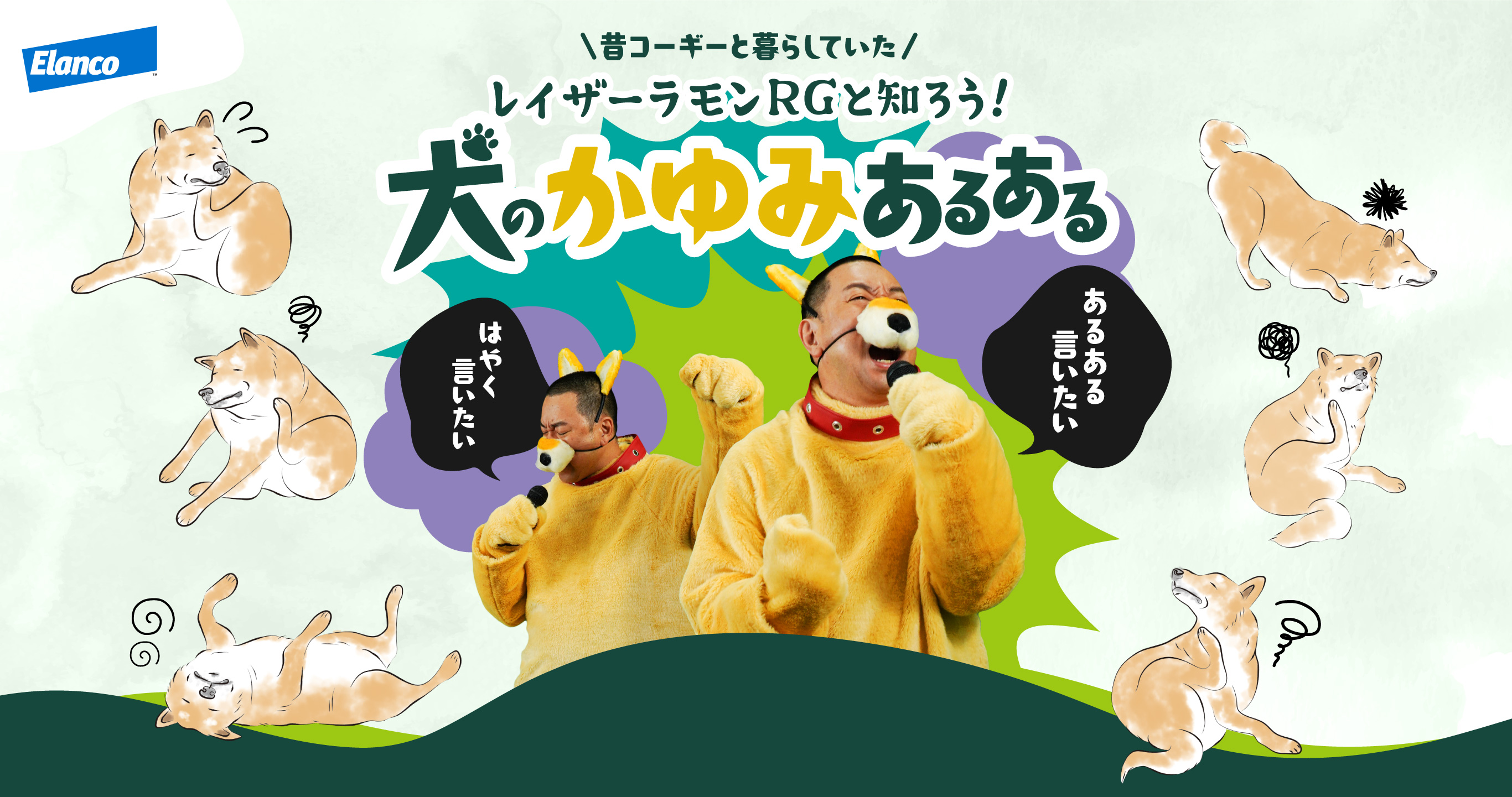 レイザーラモンRGと知ろう！犬のかゆみあるある