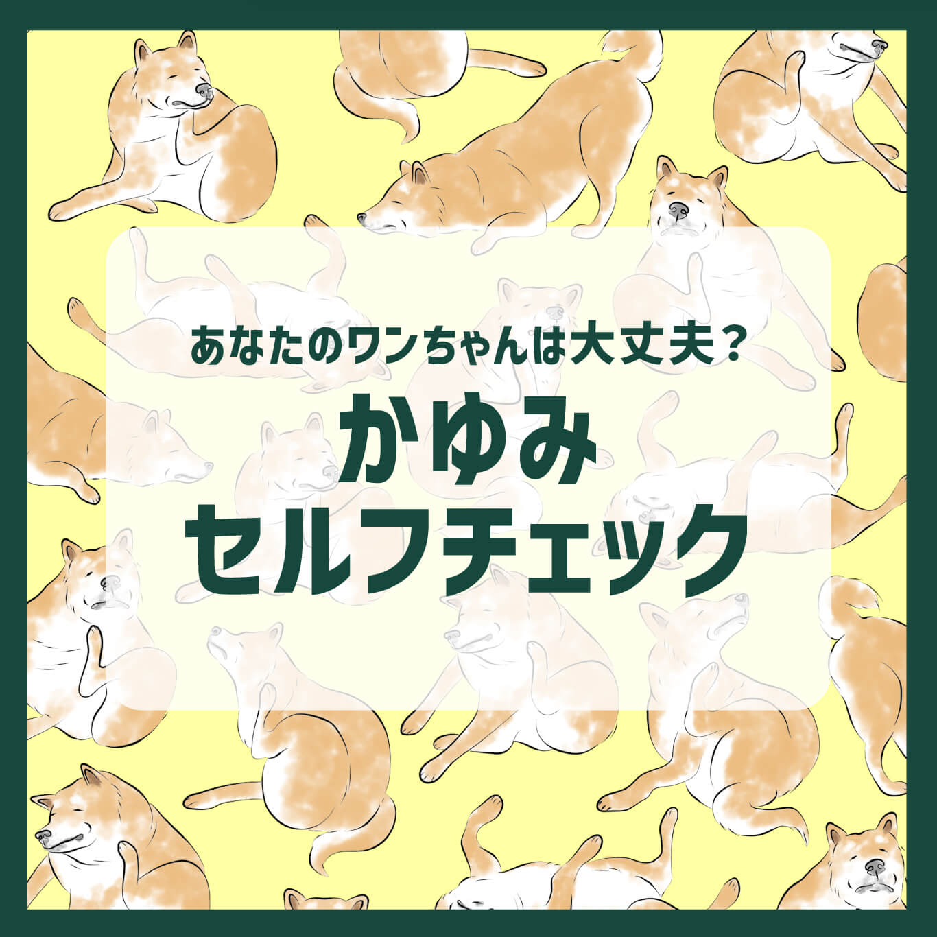 あなたのワンちゃんは大丈夫？かゆみセルフチェック