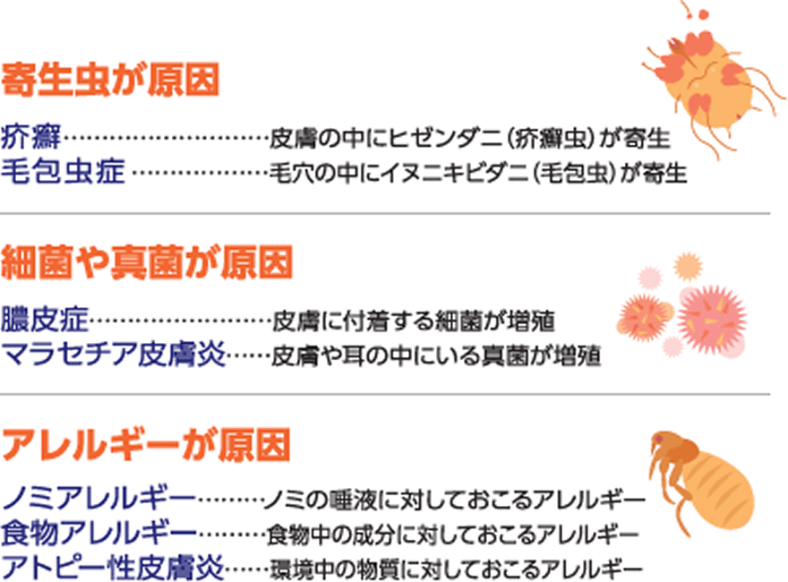 寄生虫が原因・細菌や真菌が原因・アレルギーが原因