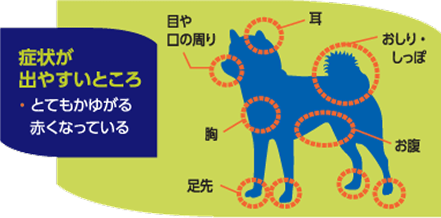 症状が出やすいところ