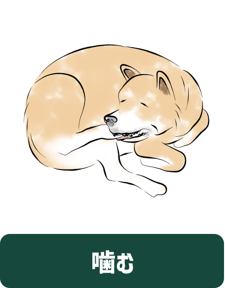 噛む