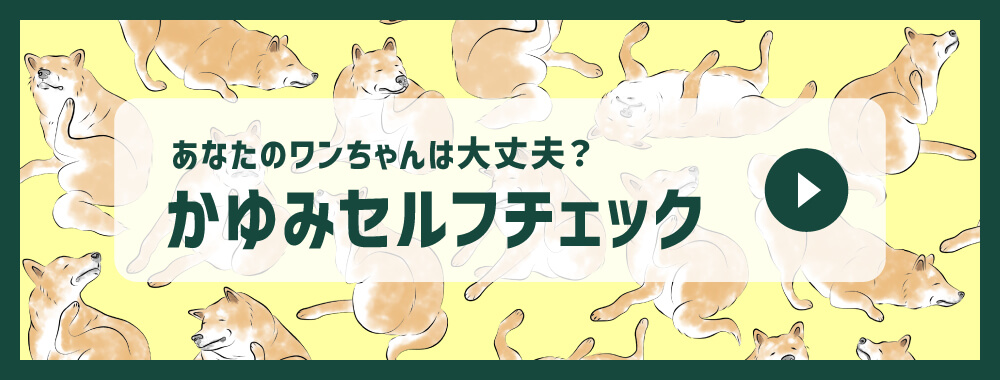 あなたのワンちゃんは大丈夫？かゆみセルフチェック