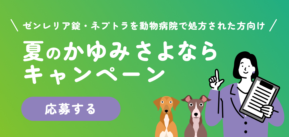 かゆみキャンペーン