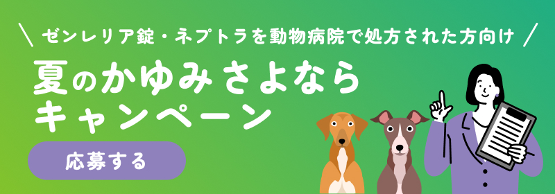 かゆみキャンペーン