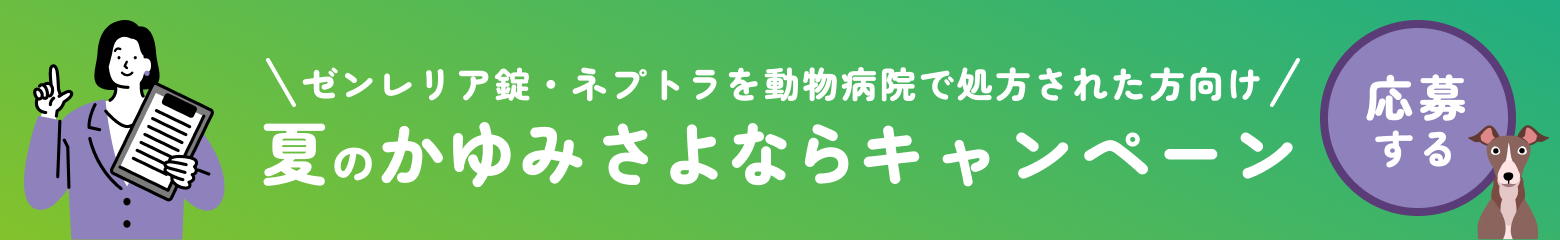 かゆみキャンペーン