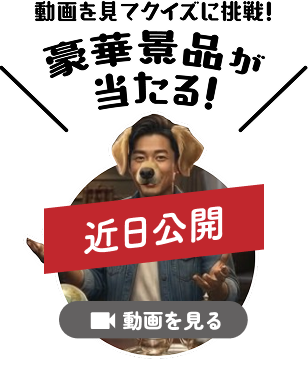 動画を見てクイズに挑戦！