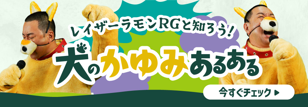 犬のかゆみあるある