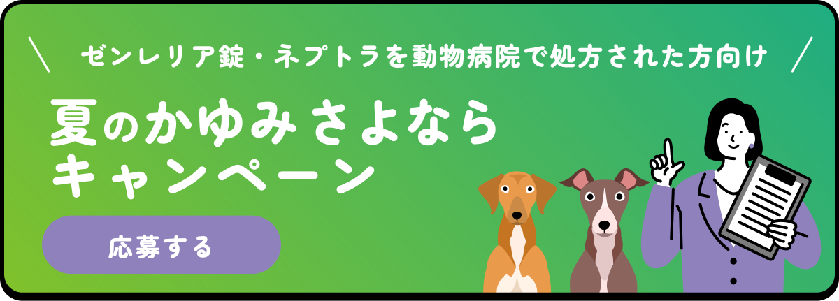 夏のかゆみさよならキャンペーン