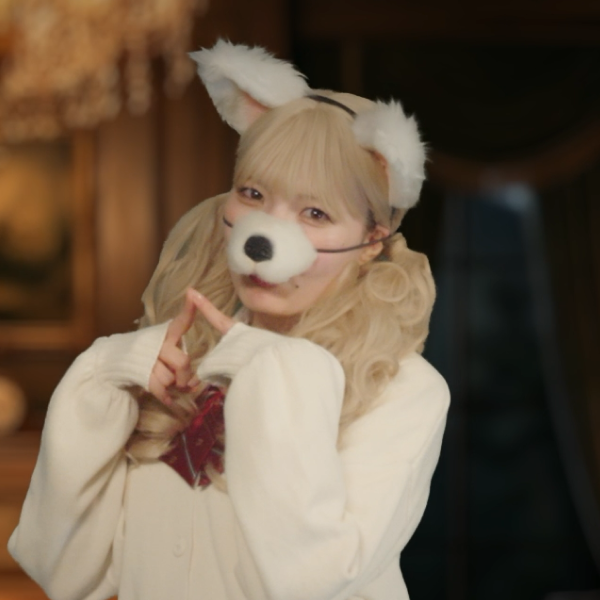 チワワ